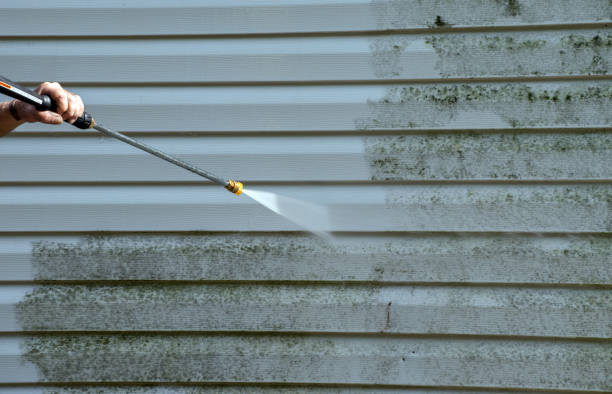 Best Mold Remediation for Specific Building Types in Haughton, LA
